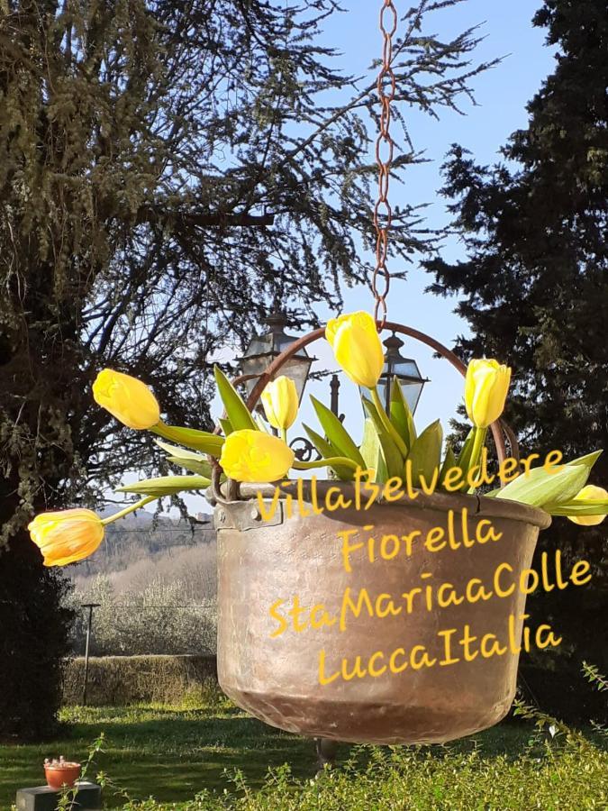Belvedere Fiorella * Lucca