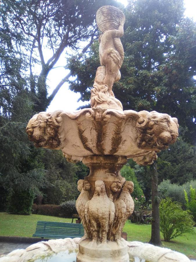 Belvedere Fiorella Lucca